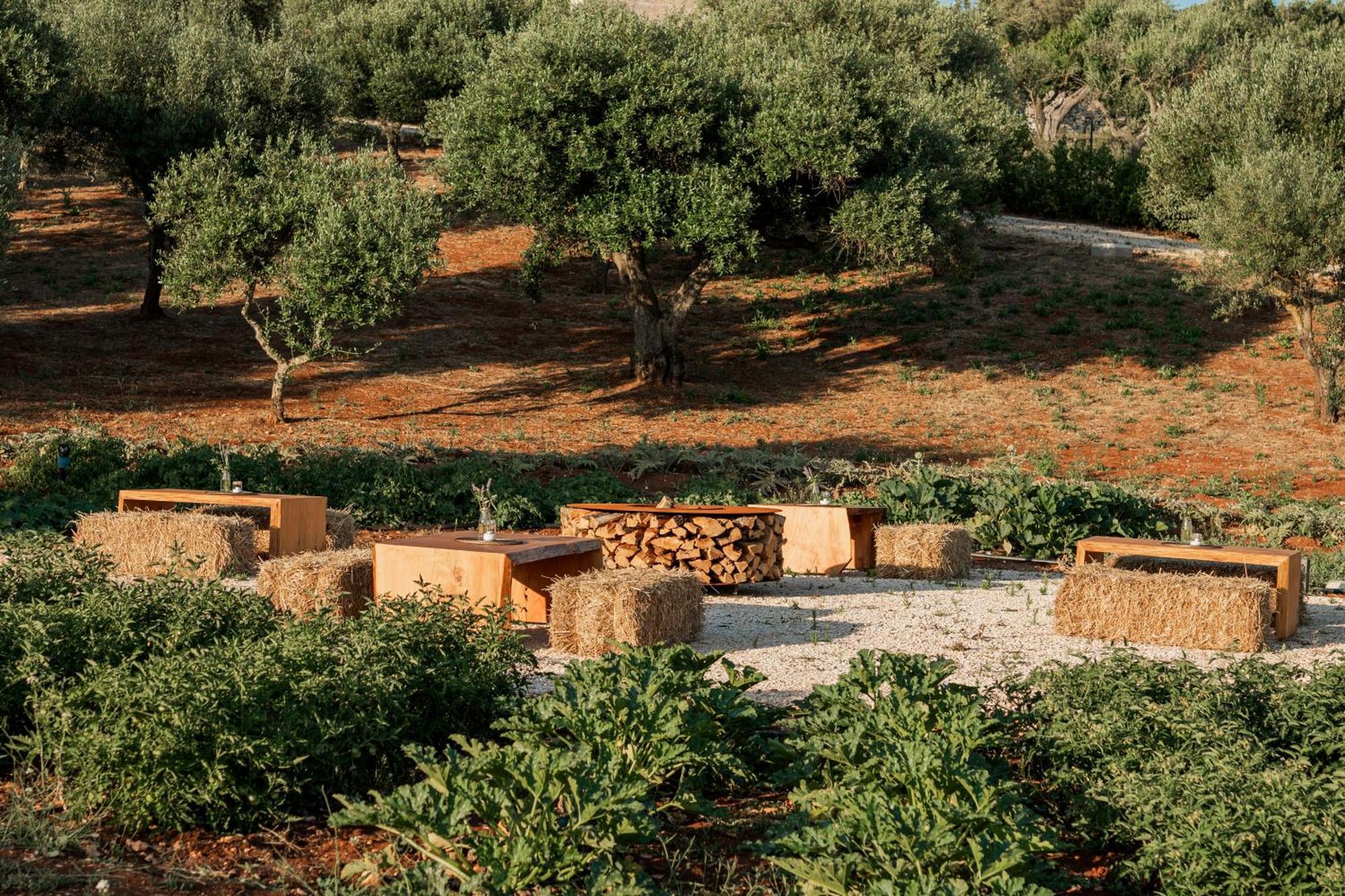 Essenza Relais Contemporaneo Bed and Breakfast Cisternino Eksteriør billede