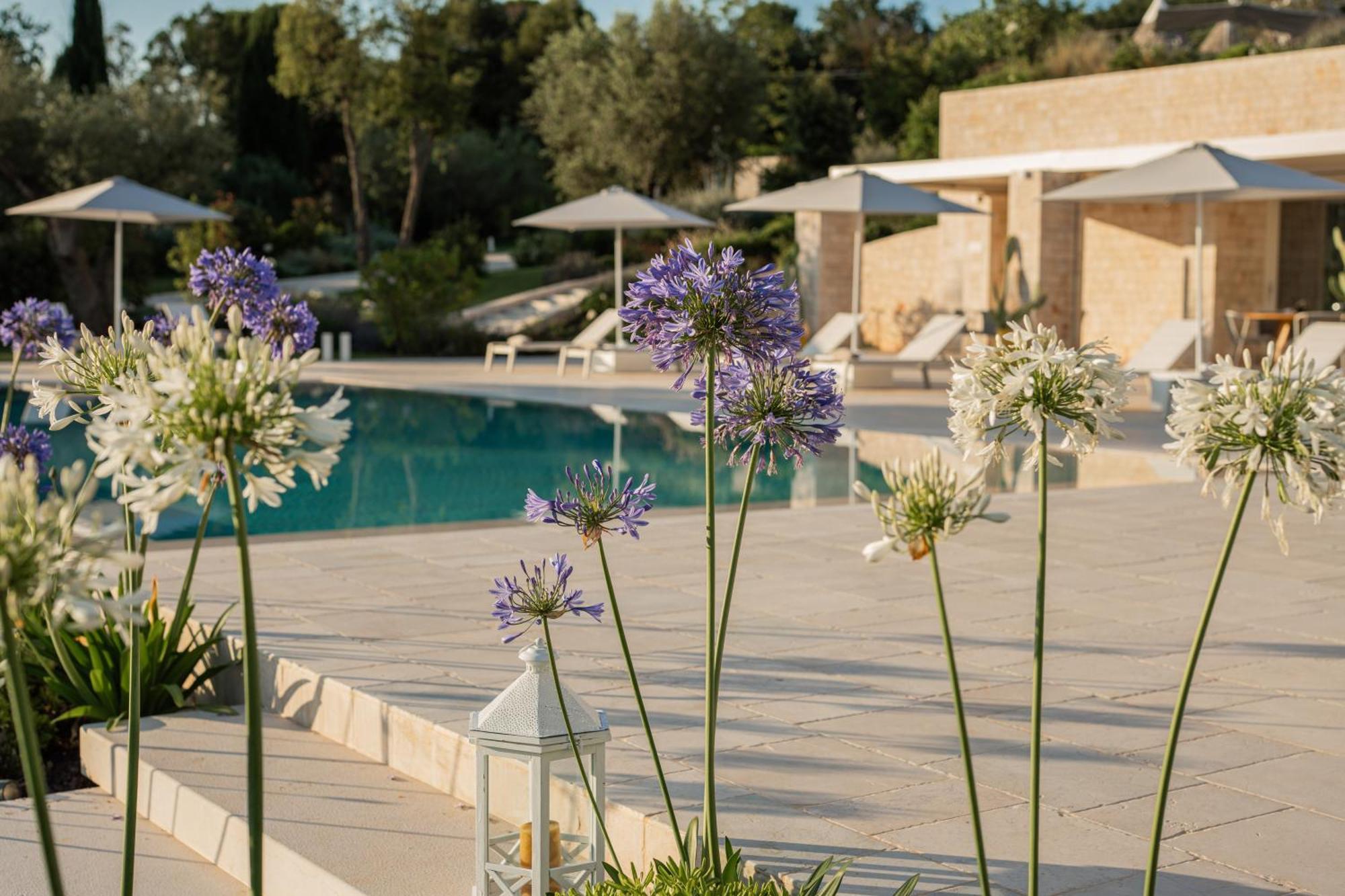 Essenza Relais Contemporaneo Bed and Breakfast Cisternino Eksteriør billede